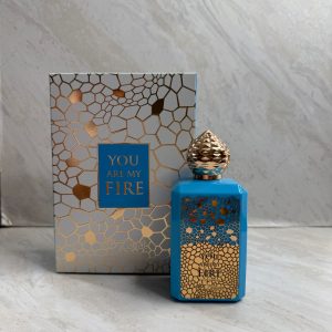 YOU ARE MY FIRE ZAKAT